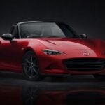 君临国际:国际贸易中的物流与供应链管理 0bkcc