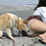 君临国际:企业在国际化过程中面临的挑战 4s2b1hd