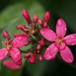 非凡娱乐官网的充值与提现流程详解 829c9cmu8