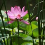 君临国际娱乐:新手玩家必知的游戏攻略与技巧 8o8wv