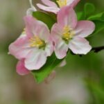 君临国际娱乐的最新活动:赢取丰厚奖励的机会 cuk4enrao