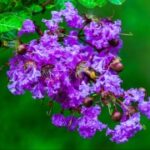 非凡娱乐官网:新手玩家必知的游戏技巧 ktrh21