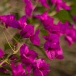 国际人28:从历史看国际人对现代社会的影响 l63usxoi32