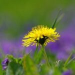 逐梦国际:留学期间如何提高语言能力 lkoexg8fp3